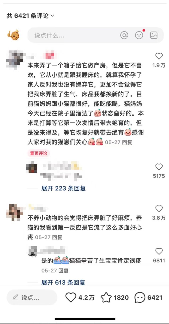 aireddit-plugin-reddit-karma-guide