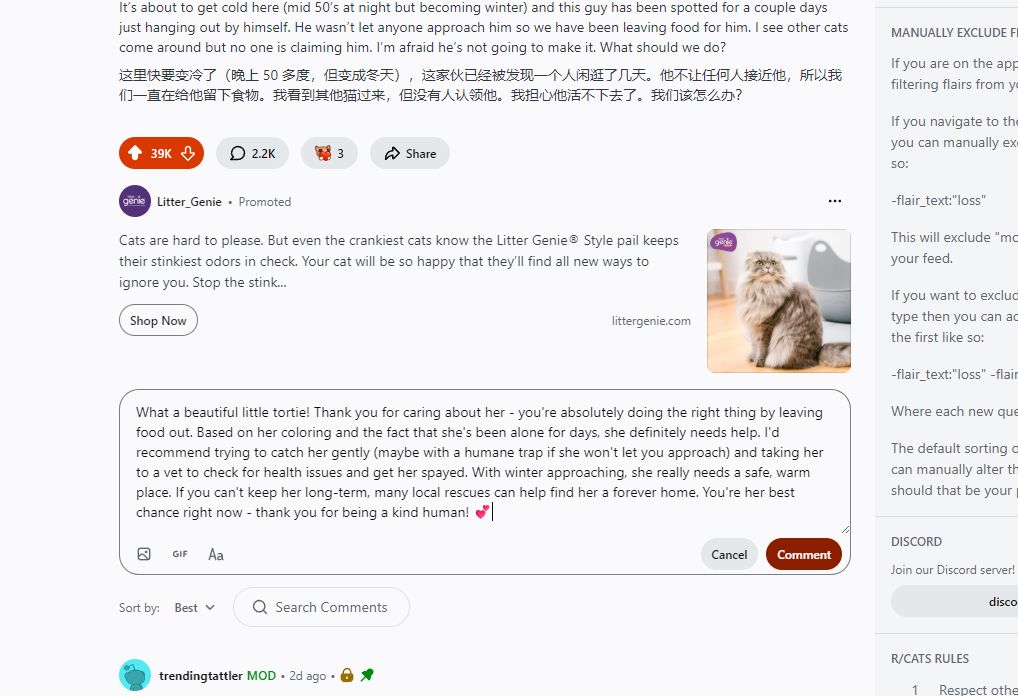 perplexity-comet-overseas-marketing-guide