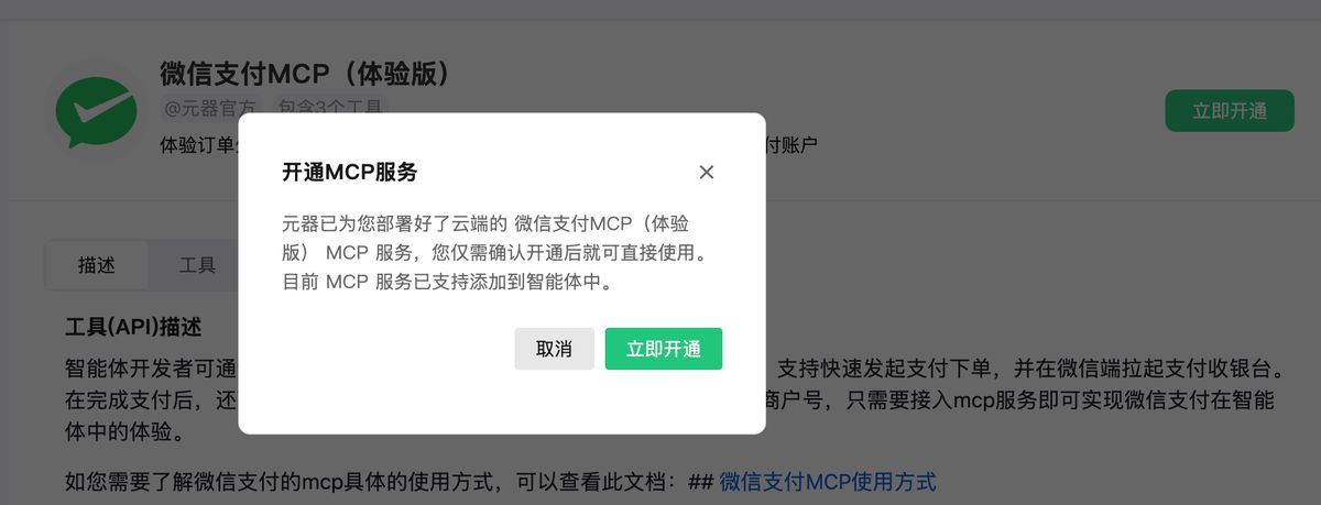 ai-payment-mcp-commercialization
