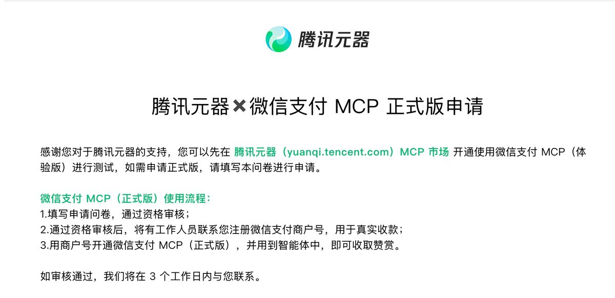 ai-payment-mcp-commercialization